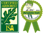 ISA_Angies_logo